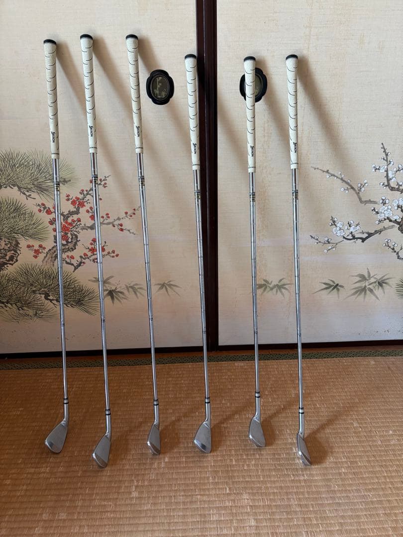 スリクソンZ725 デザインチューニング　数量限定モデル　アイアンセット