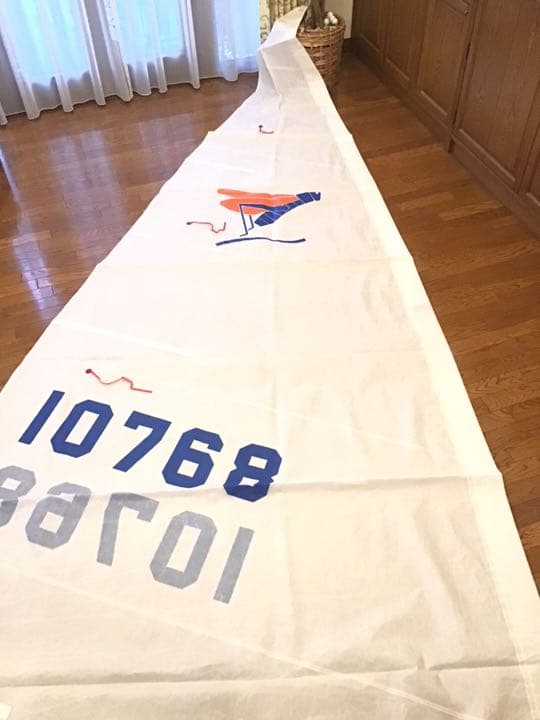 ヨット用品 YAMAHA SeaHopper セール