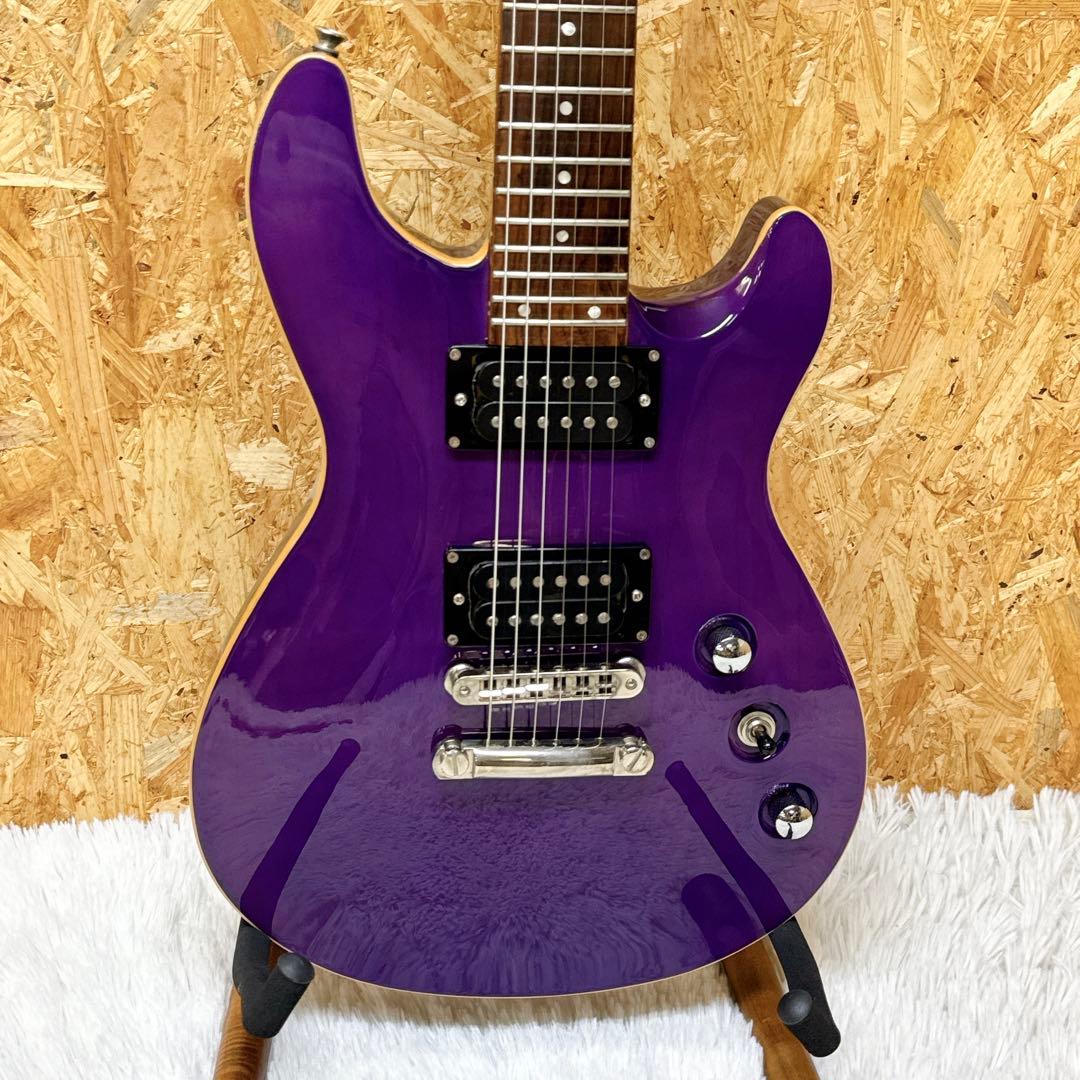 FERNANDES APG-standard セットネック仕様 パープル 紫