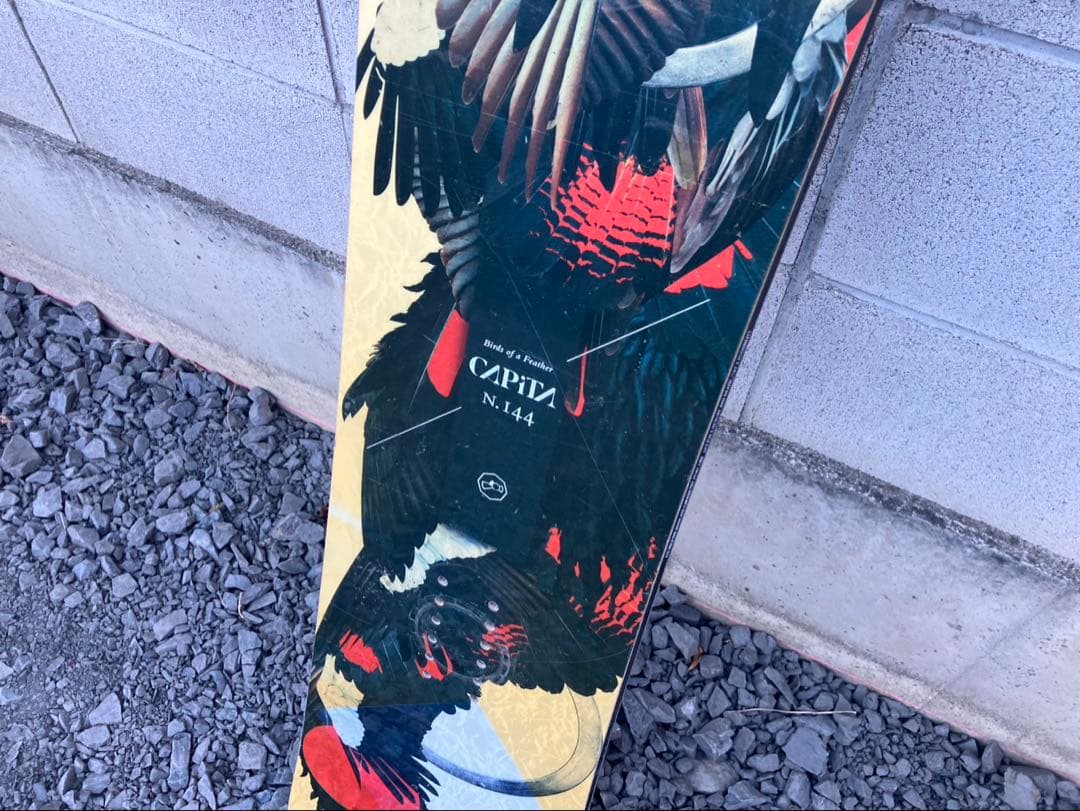 CAPiTA キャピタ スノーボード デッキ 鳥 グラフィック デザイン