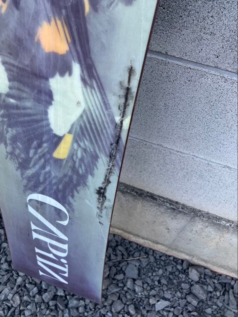 CAPiTA キャピタ スノーボード デッキ 鳥 グラフィック デザイン