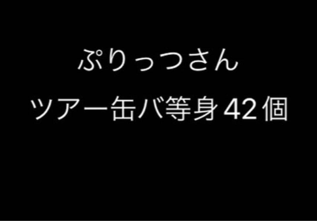 ぷりっつツアー等身