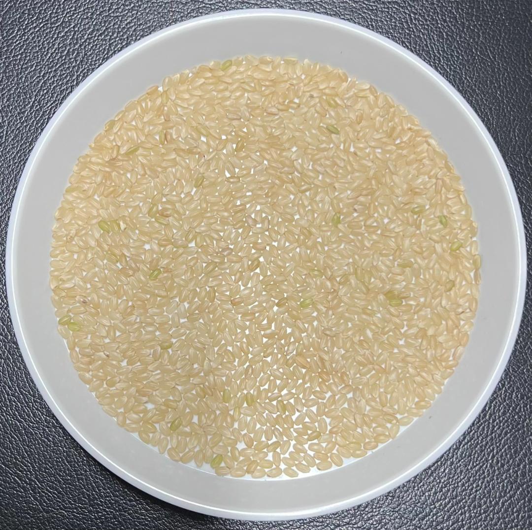 送料無料 一等検査 玄米 令和7年産 京都 丹後 コシヒカリ 30kg