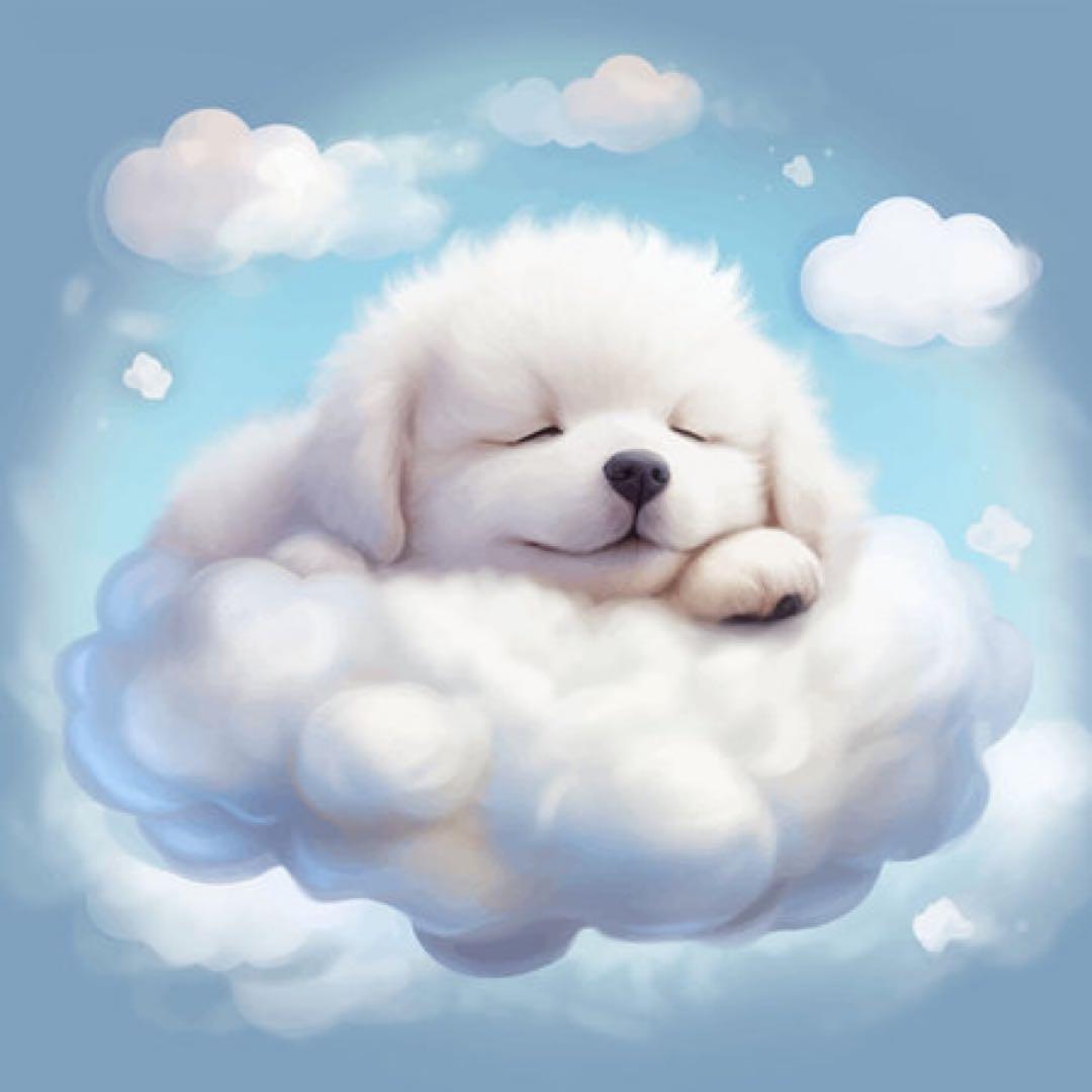 らぶしっく りょう クラファン リワード 最終値下げ