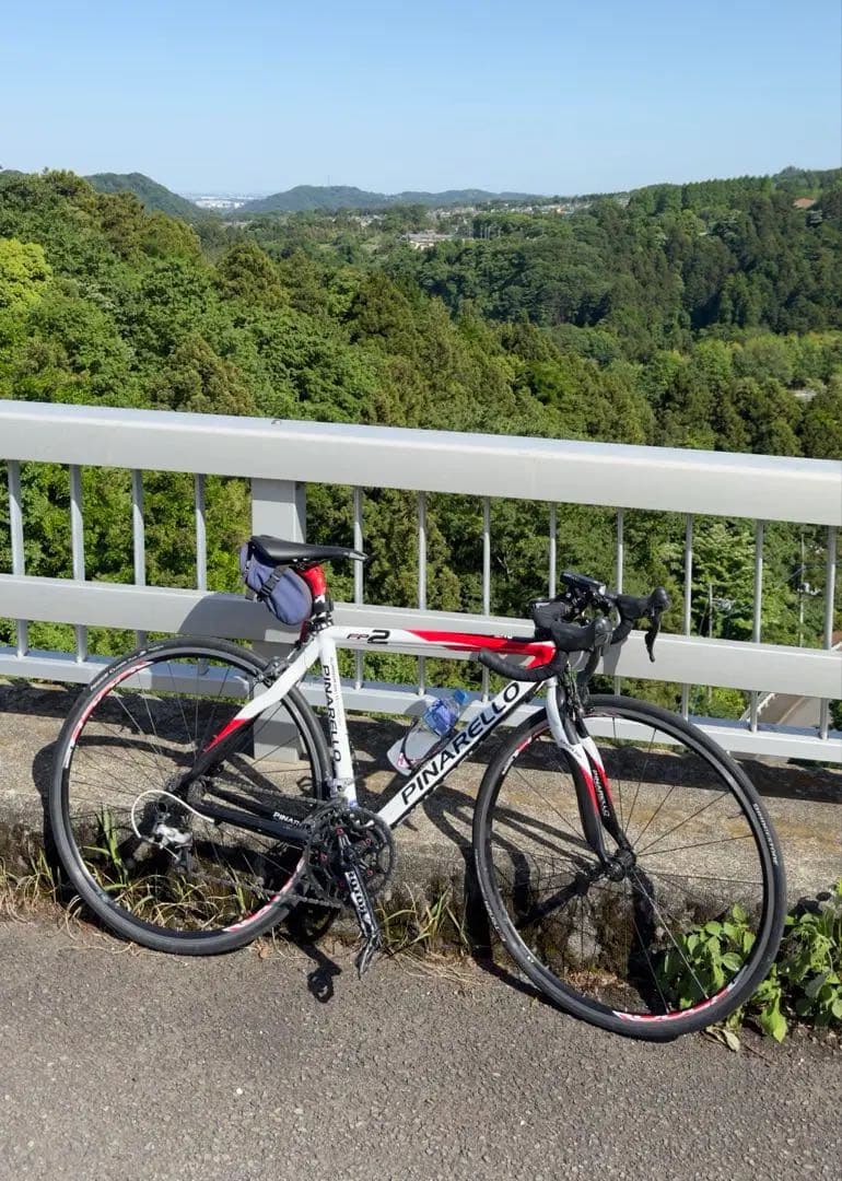 まぐ【PINARELLO FP2】