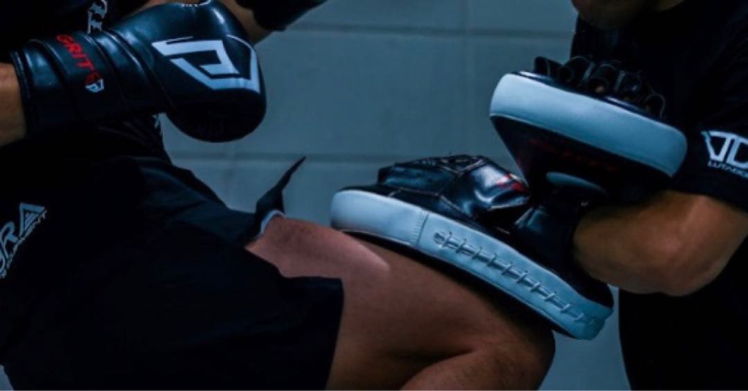 GRIT パンチングミット 2個セット 新品