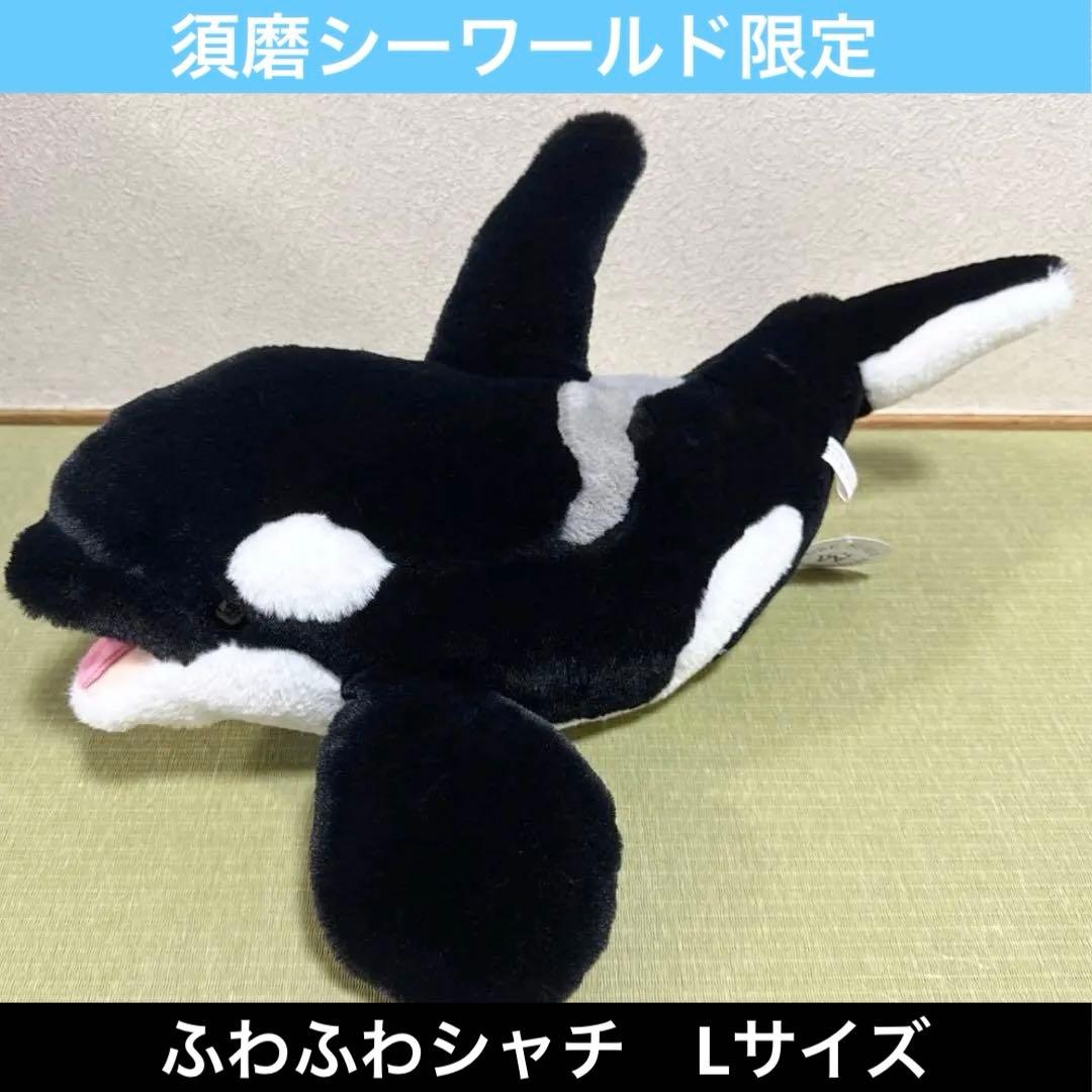 神戸須磨シーワールド　ふわふわシャチ　ぬいぐるみ　L
