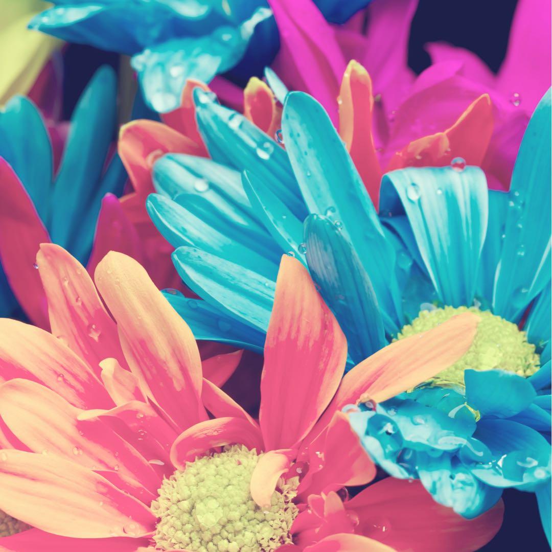 サンジの助様【4袋】小悪魔スイーツ✨女子力 アップ サプリ バスト❗サプリメント