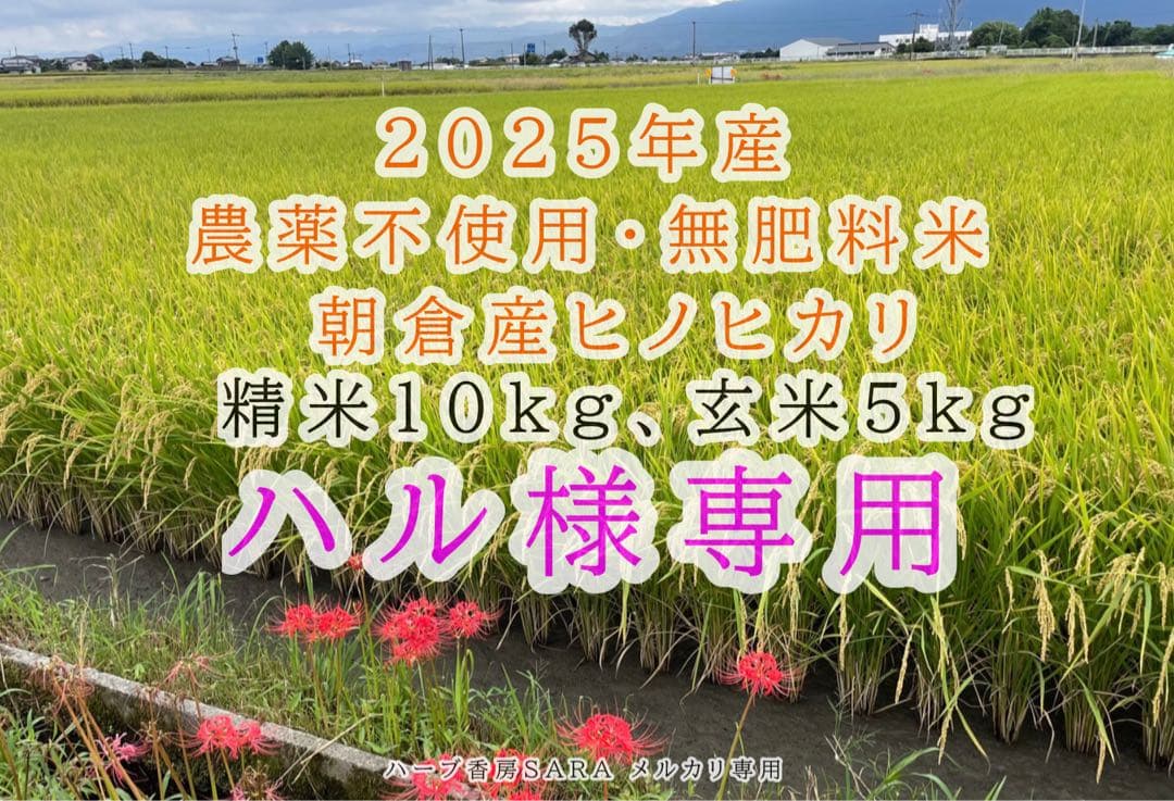 ハル 精米10kg、玄米5kg