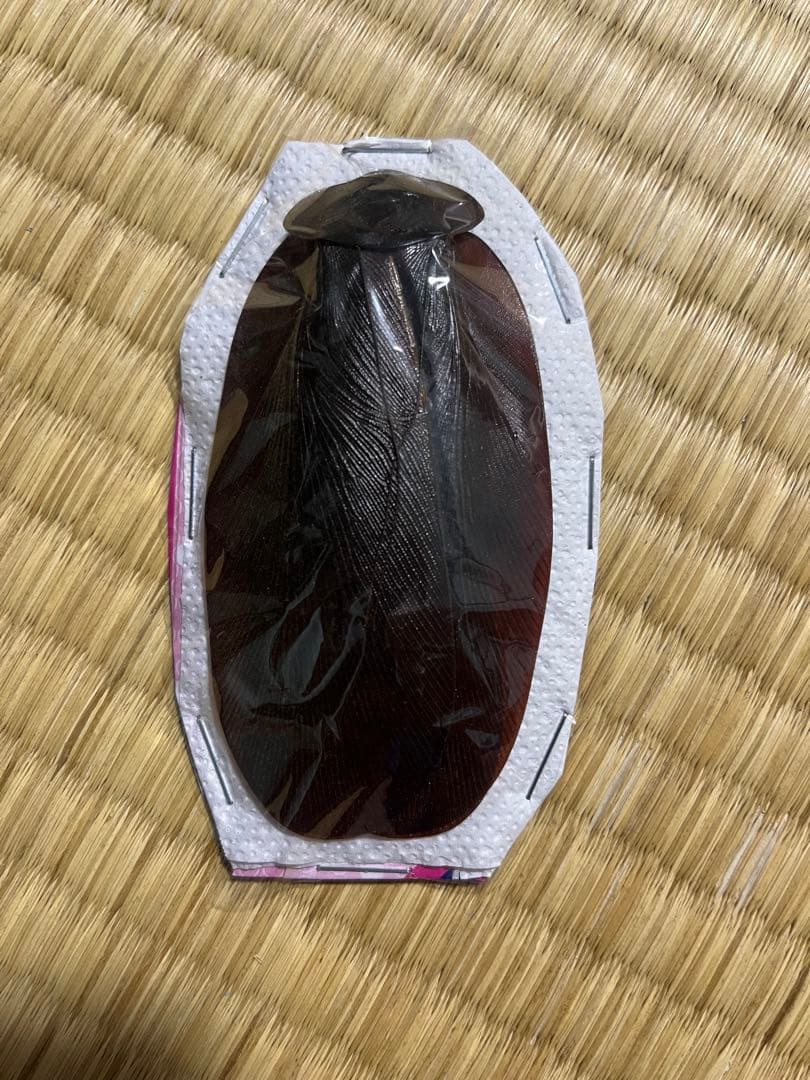 マンモスゴキブリ 89mm パッキング標本