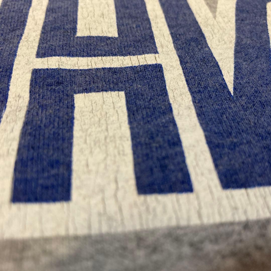 HAZE SEGAパロディTシャツ　オリジナル