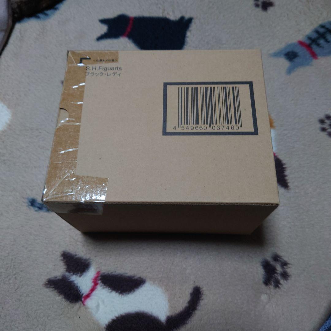 美少女戦士セーラームーンSHフィギュアーツ　ブラックレディ