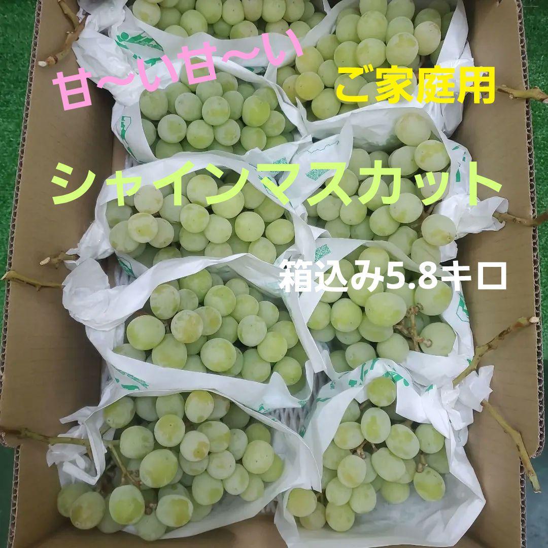 7️⃣ 山梨県産 シャインマスカット ９房入り 箱込み5.8キロ