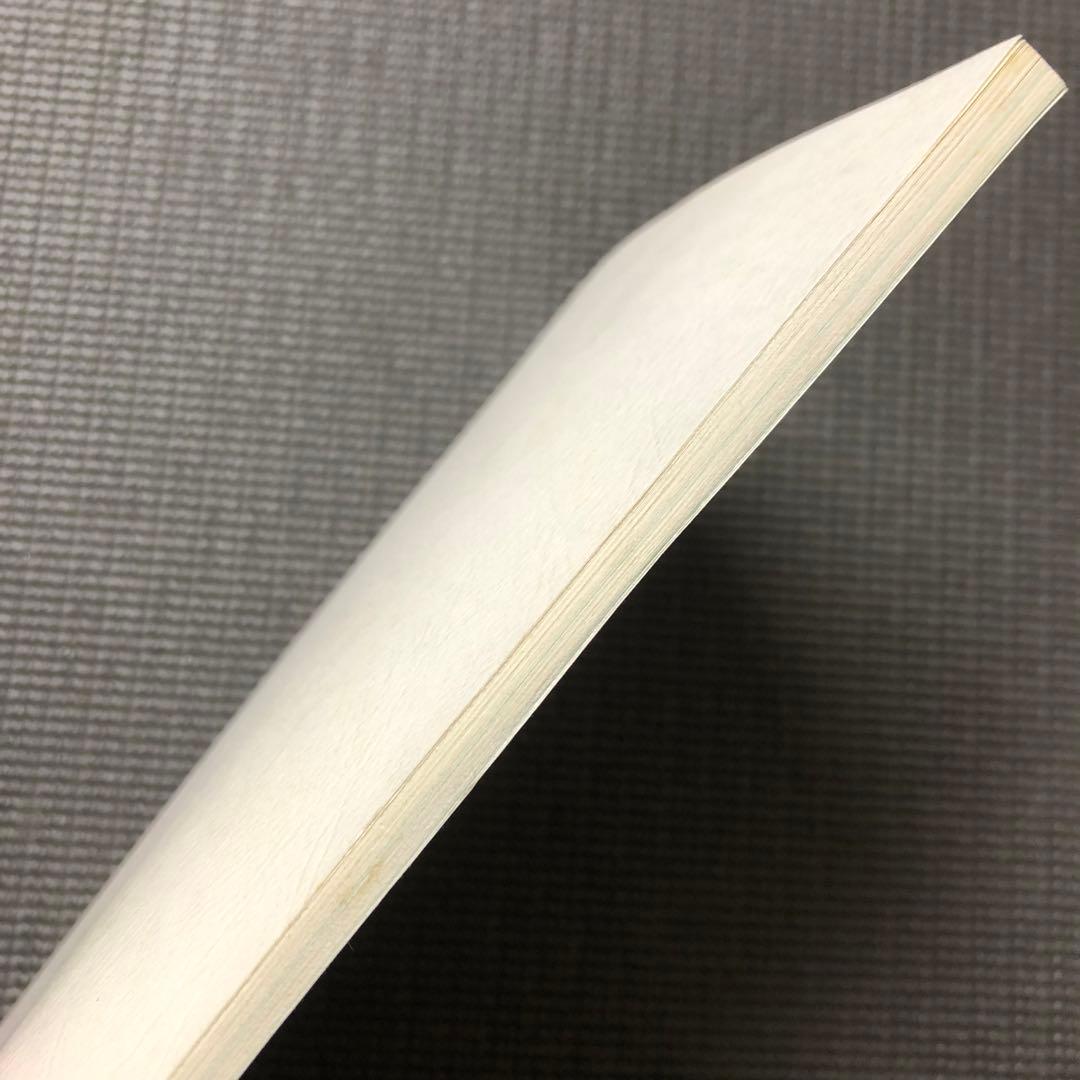 モノノ怪 アニメ 第9話 台本 ノイタミナ/怪 ayakashi/化猫