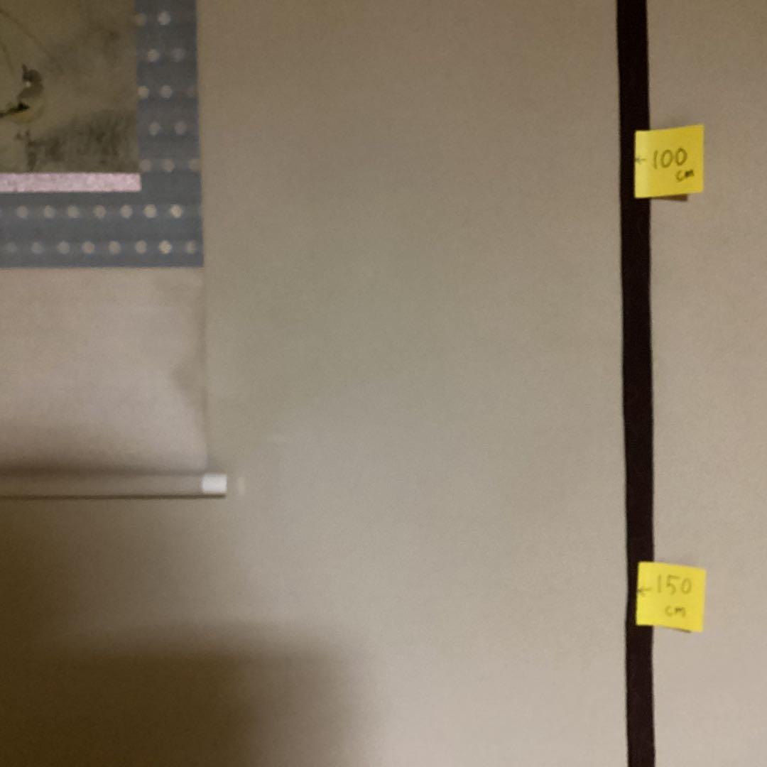 O-14 秋とすすき　すずめ　掛軸　横幅