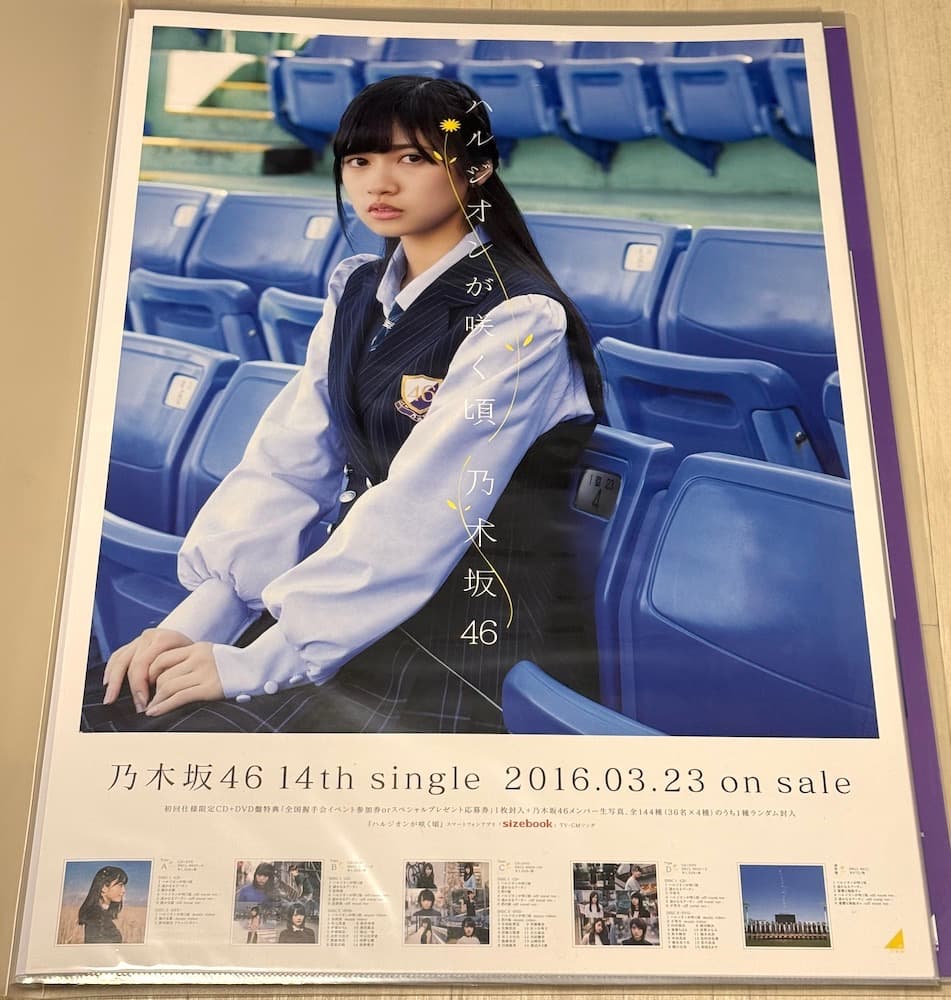 乃木坂46 寺田蘭世 ポスター10枚セット
