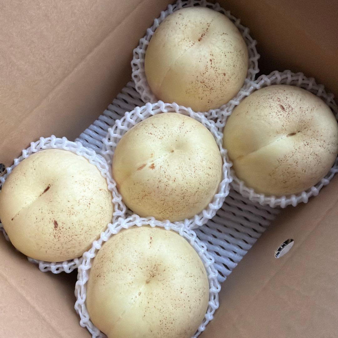 超プレミアム！！糖度20度以上　ももちゃん果樹園の桃　幻の桃　CX 2キロ箱！