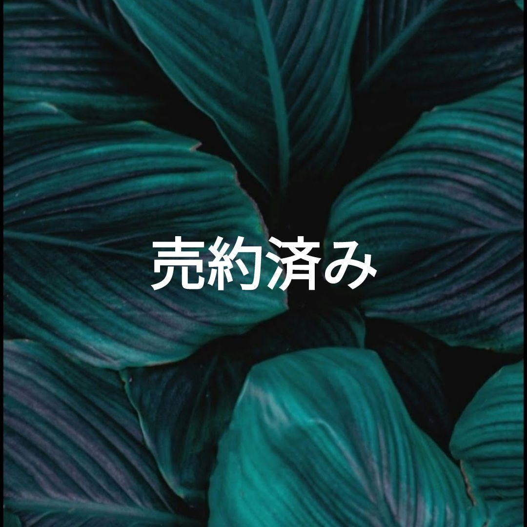 【2本組⭐超古酒】ハブ入りハブ酒　八重泉 1.8L ＆ 南都 800ml