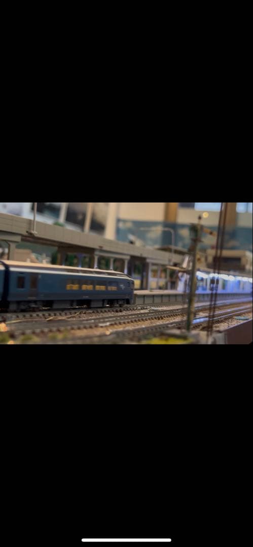 E261系　サフィール踊り子　室内灯付き　特別企画品　　nゲージ　鉄道模型