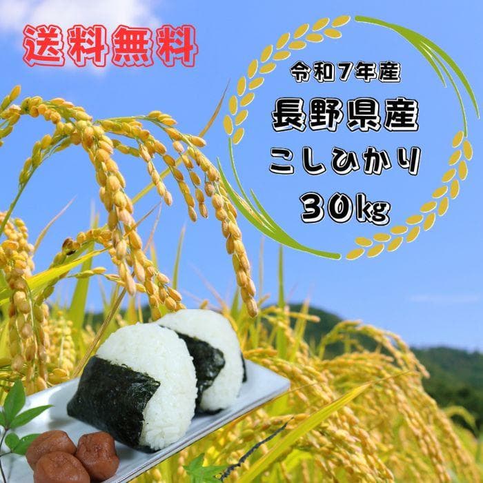 令和7年産 長野県産 コシヒカリ白米30キロ（10kg×３袋）精米したてをお届け