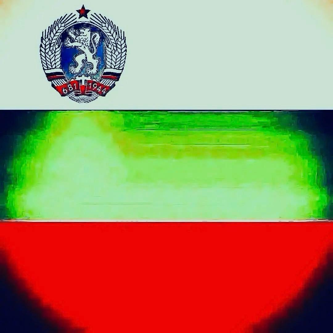 ブルガリア軍／飯盒／クッカー セット