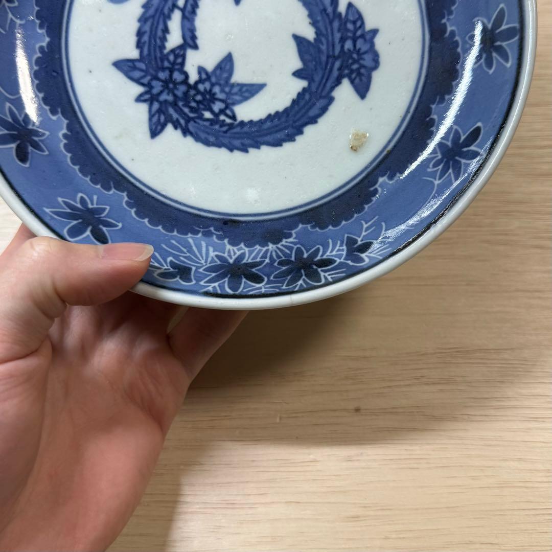 古伊万里 染付 こんにゃく印判 六寸皿 中皿 江戸時代 蒟蒻印判 古美術 骨董