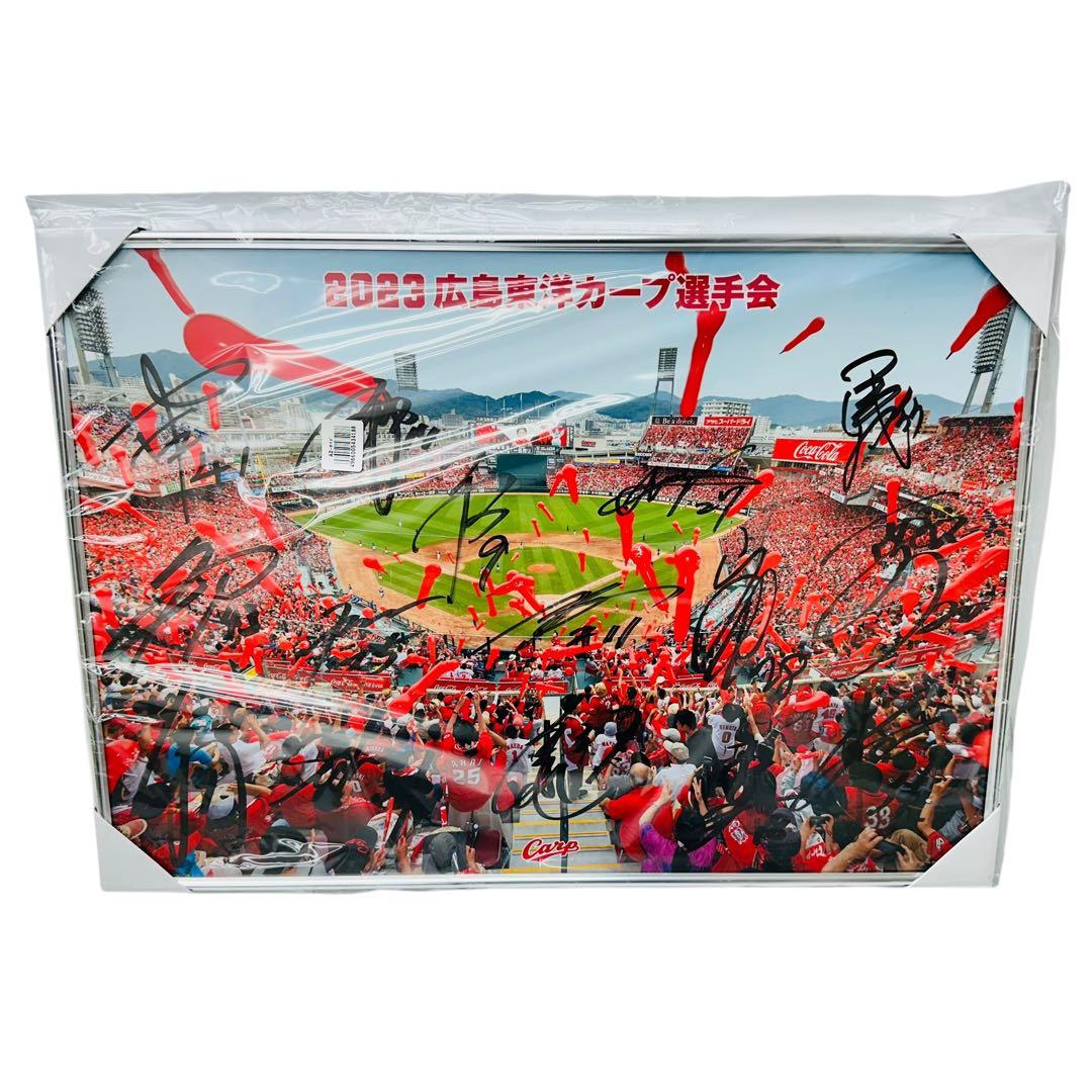 非売品 2023年 広島東洋カープ 選手会 直筆サイン パネル 寄せ書き