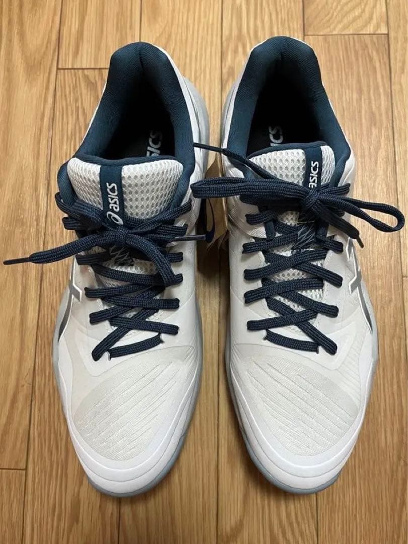 アシックス スカイエリートFF3 28.5㎝