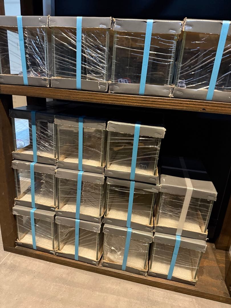 早い者勝ちJUNガラスオーバーフロー水槽 セット