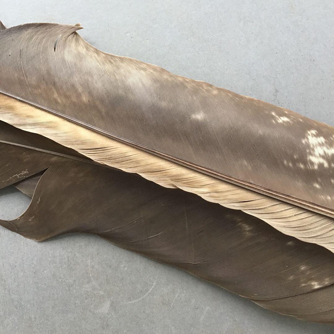 茶道具　羽箒(孔雀羽入り) 紙箱(修復歴あり、紙箱劣化有)　S21HB