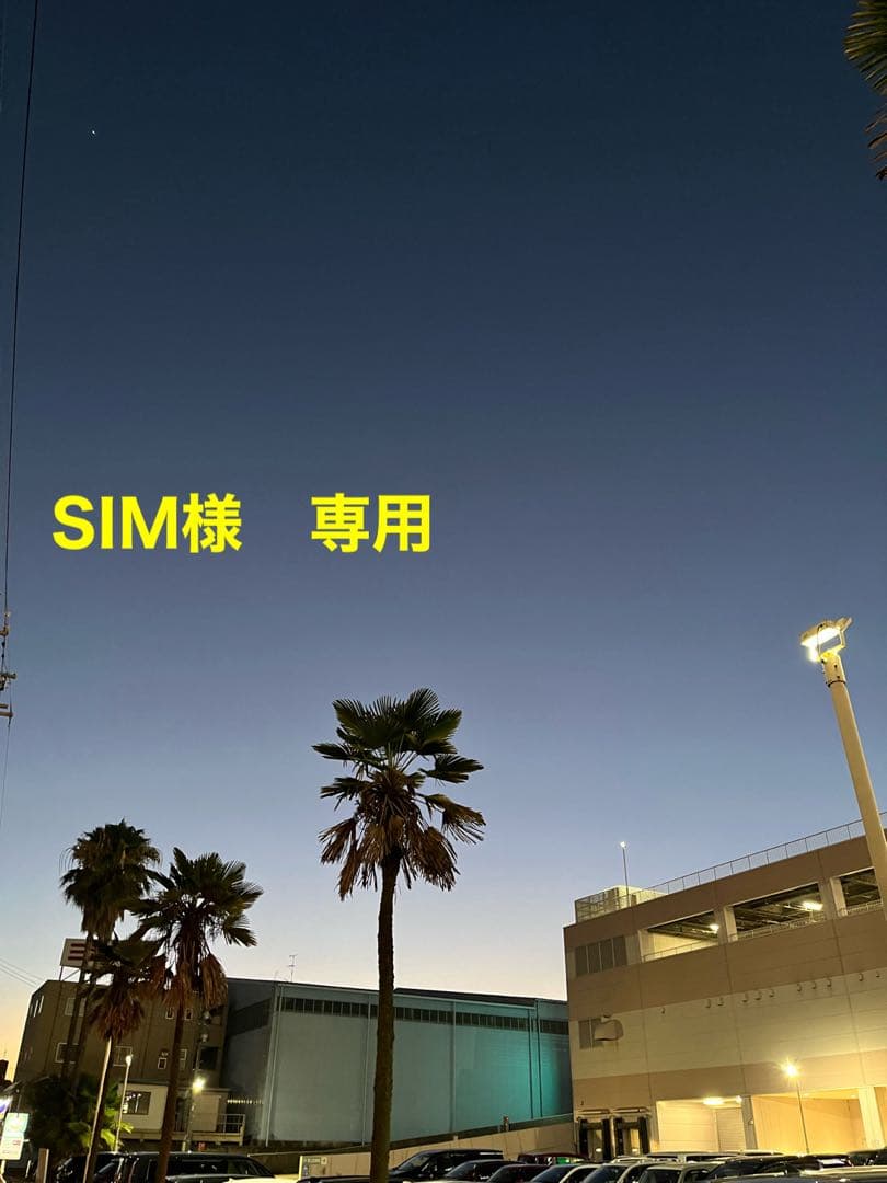 BRIEFING ベージュ グレー　新品　タグ付き　Mサイズ