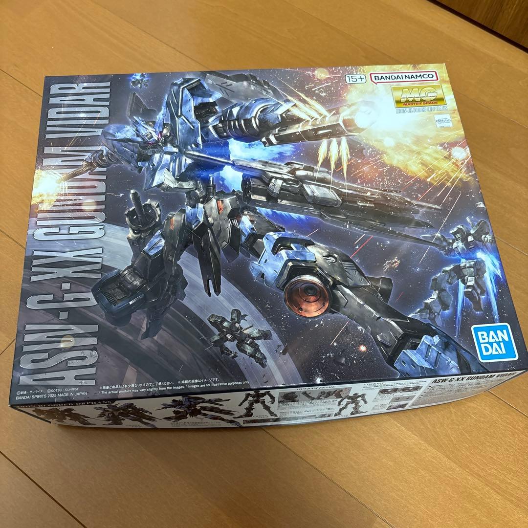 ASW-G-XX ガンダムヴィダール