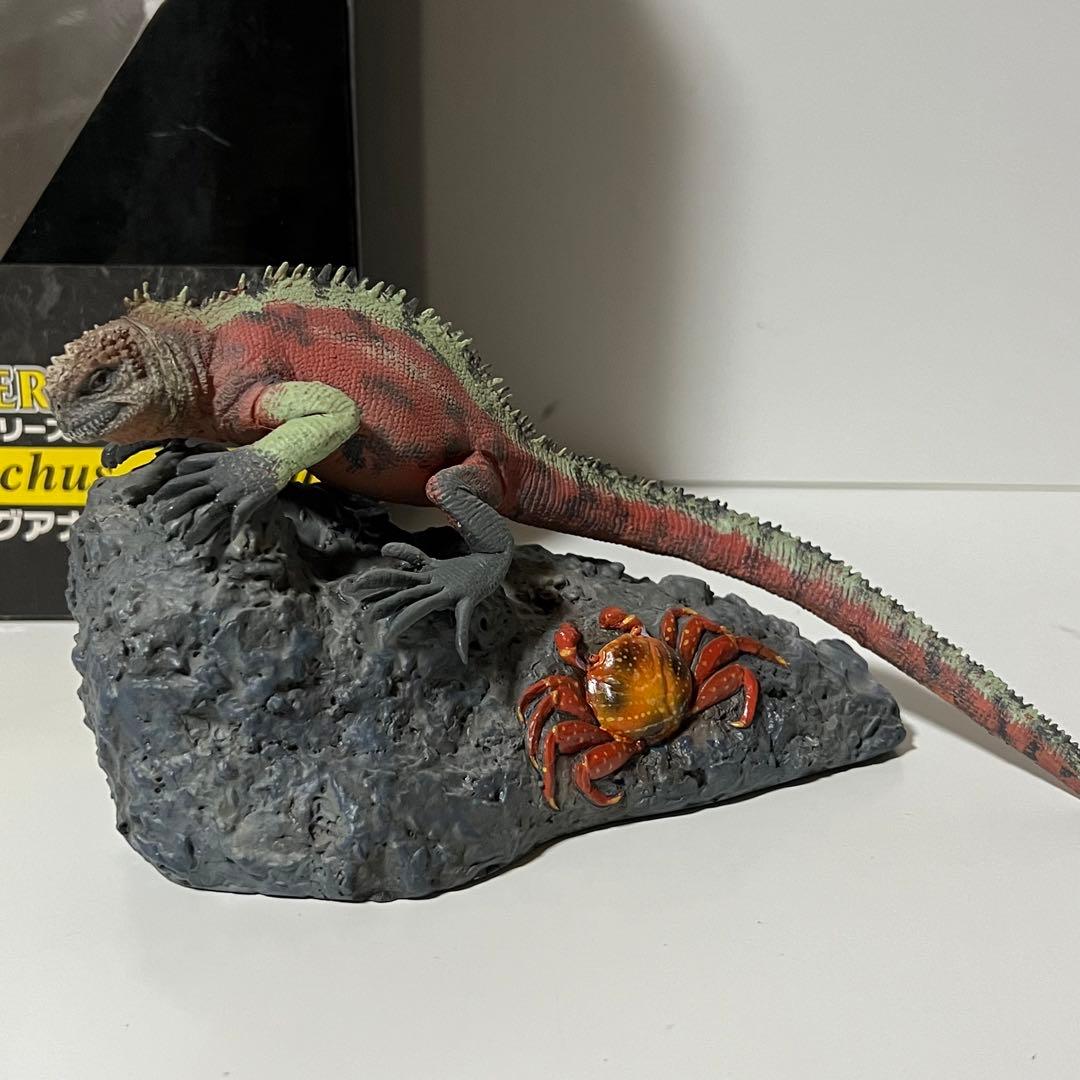 海洋堂　ウミイグアナ　ネイチャーテイルズ　検　ネイチャーテクニカラー