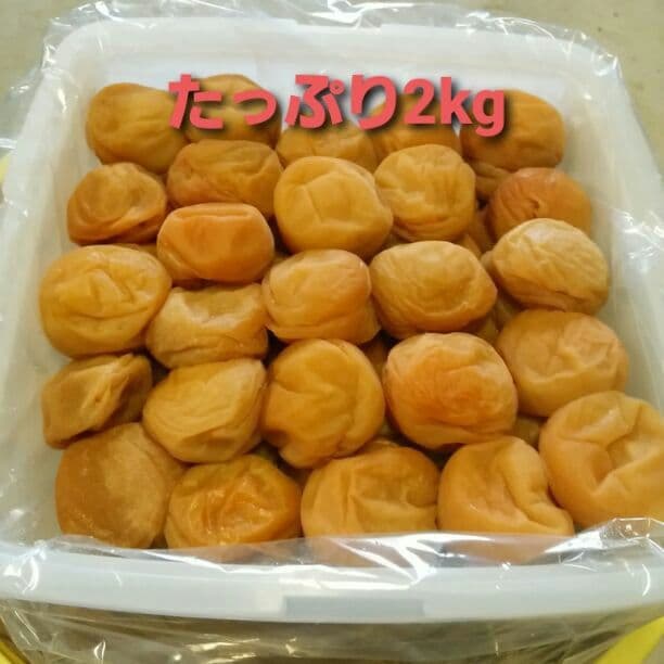 オリオン10kg 無添加 自家製 梅干し 紀州みなべの南高梅