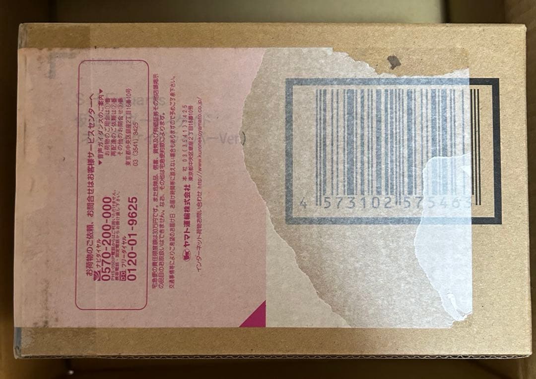 真骨彫製法　仮面ライダーディケイド（ネオ）、ディエンド　２点セット