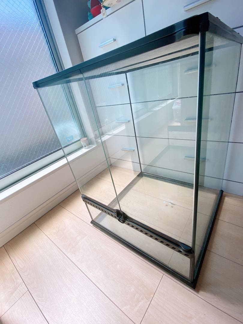 グラステラリウム4560 送料込み