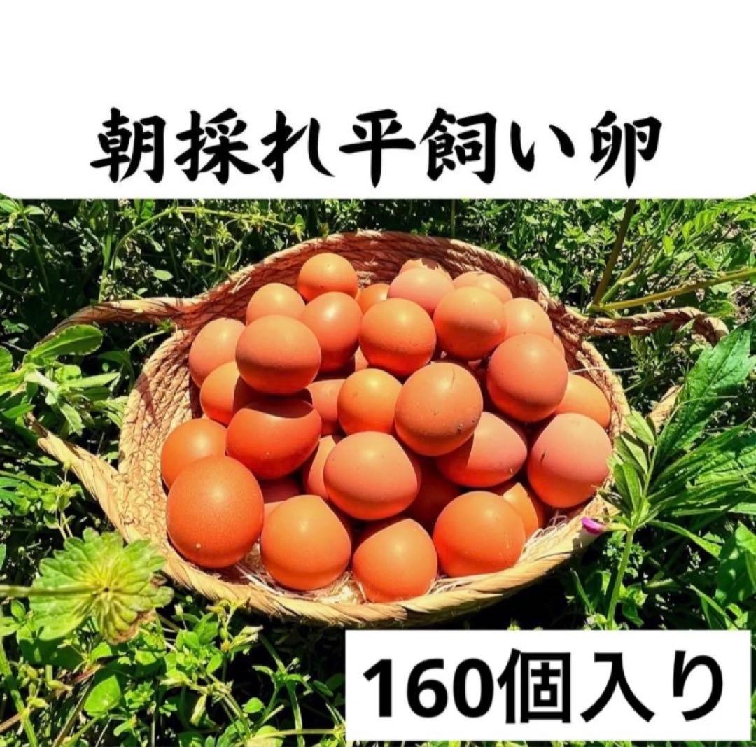 大分県産 平飼い鶏卵 160個入り
