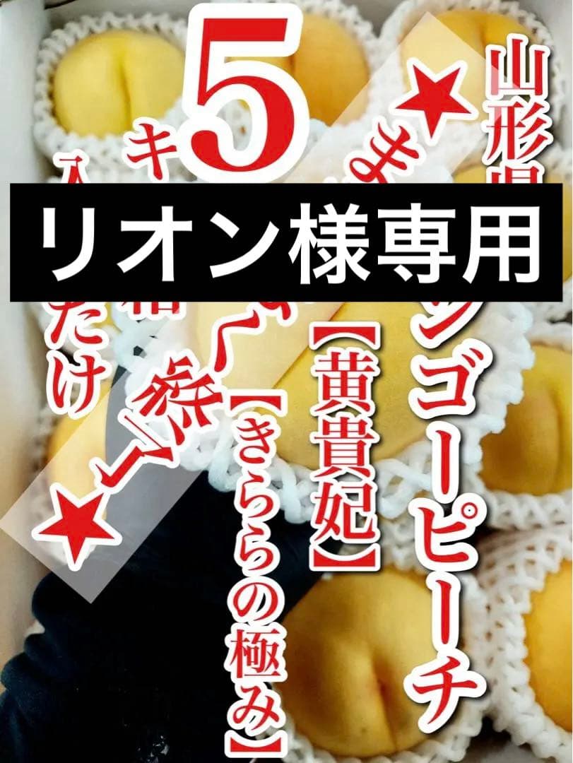 リオン　クール便　マンゴーピーチ　品種お任せ　5キロ箱✖️２箱 ご家庭用