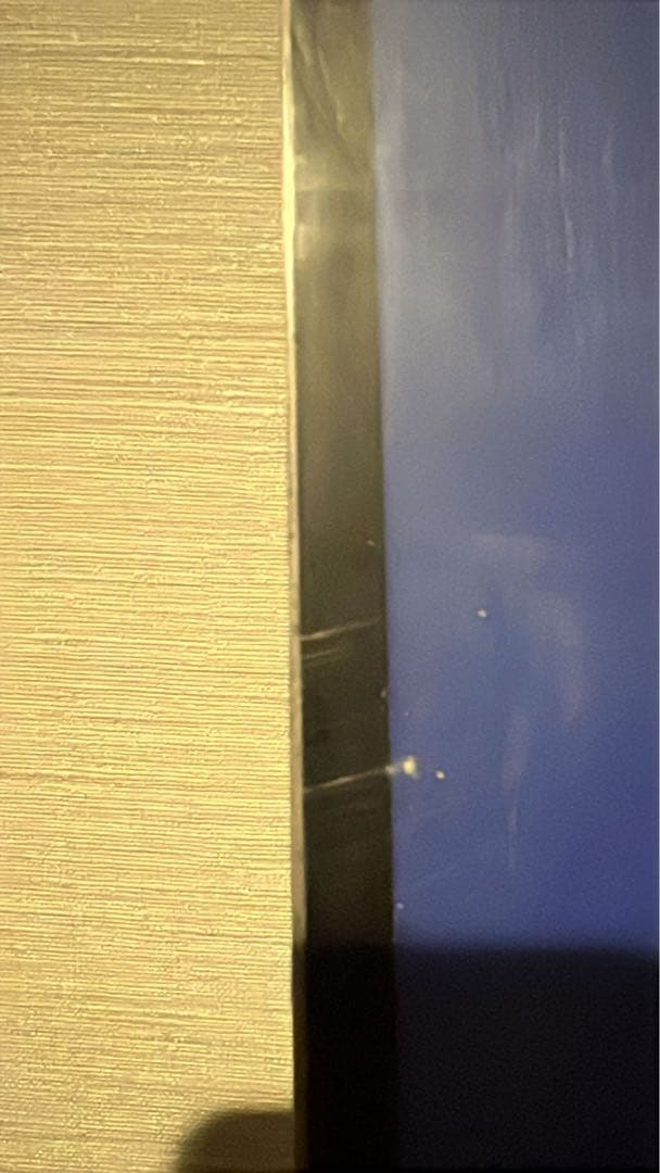 FIS Salomon SL 165 S/RACE スキー ビンディング付き