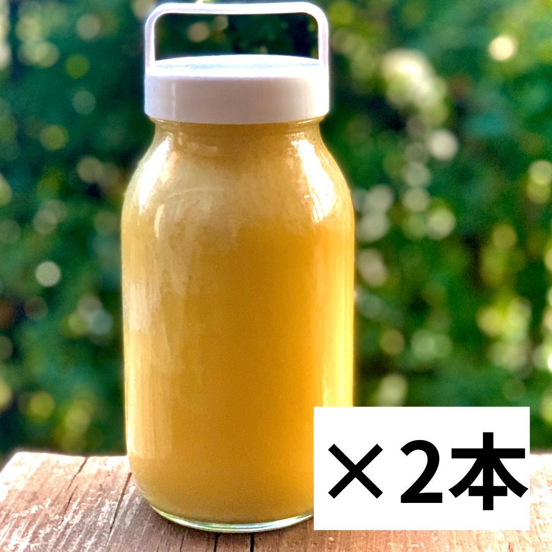 二ホンミツバチの天然非加熱・無農薬・無添加蜂蜜　2本セット