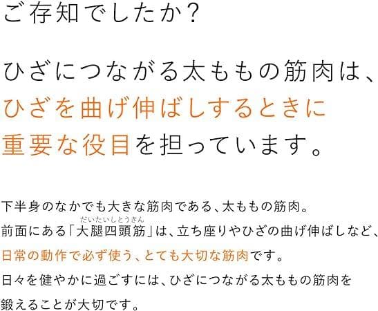 SIXPAD Knee Fit コントローラーセット Mサイズ