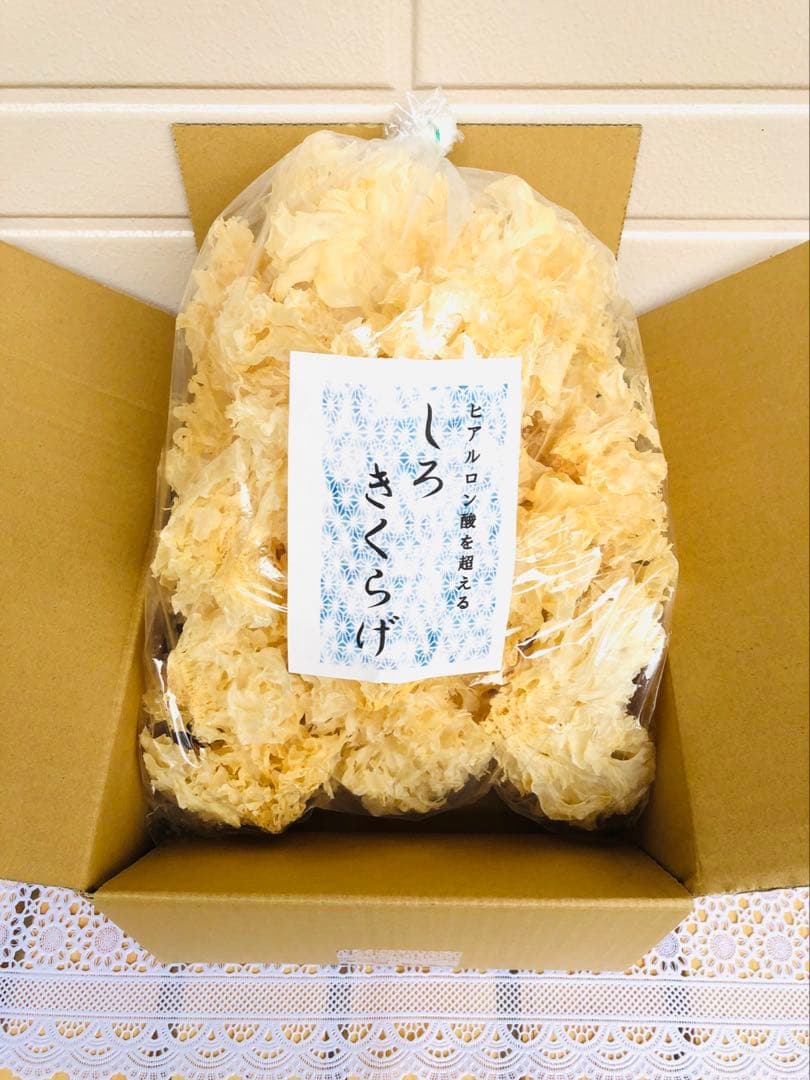 リクエスト出品(ひなな)