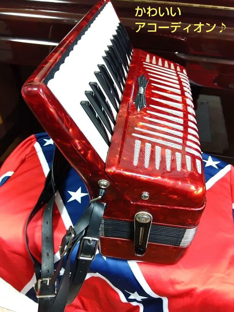 【即演奏可 大幅なメンテ完了品】YAMAHA YA-21アコーディオン