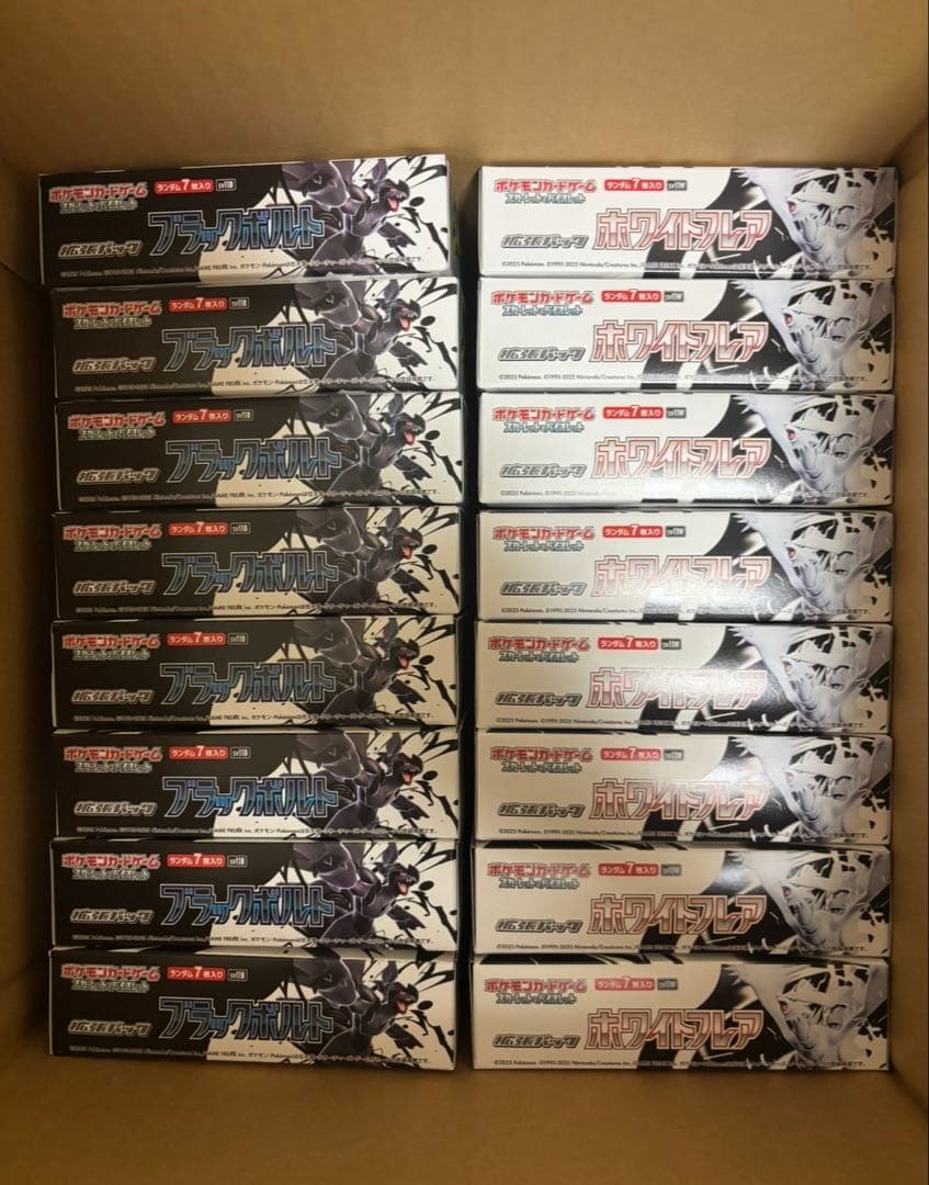 ブラックボルト　ホワイトフレア　合計640パック