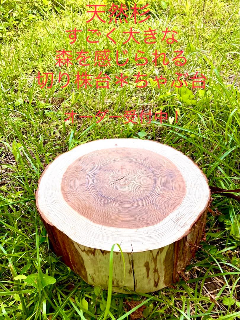 完売　オーダー受付中！天然杉/超特大サイズ！【森を感じられる切り株テーブルなど】