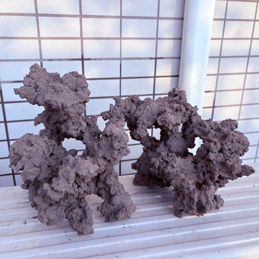 人工ライブロック　2 sets ver