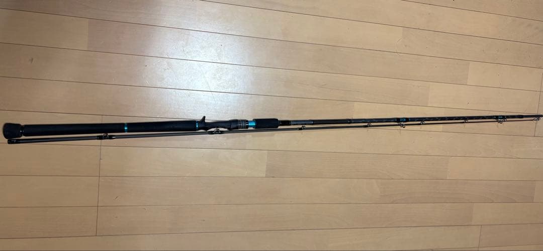 ショアジギングロッド　アブガルシア