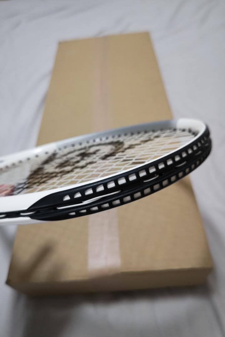 硬式テニスラケット　ダンロップ LX800 255g G2