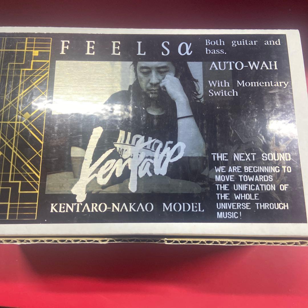 中尾憲太郎モデル　Feels α the next sound