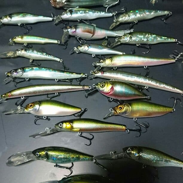 メガバス オイカワカラー